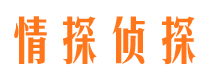 西林情探私家侦探公司